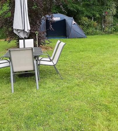 Large Family Home In Wexford Marys B&B Enniscorthy Ngoại thất bức ảnh