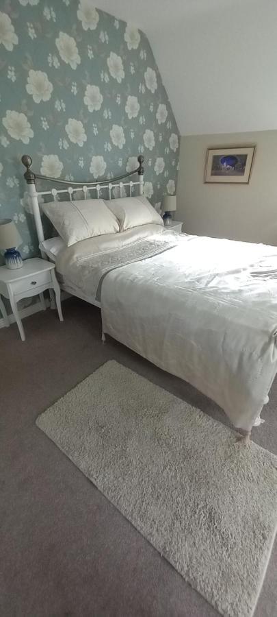 Large Family Home In Wexford Marys B&B Enniscorthy Ngoại thất bức ảnh