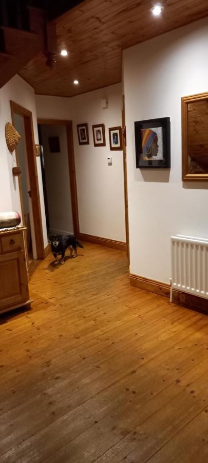 Large Family Home In Wexford Marys B&B Enniscorthy Ngoại thất bức ảnh
