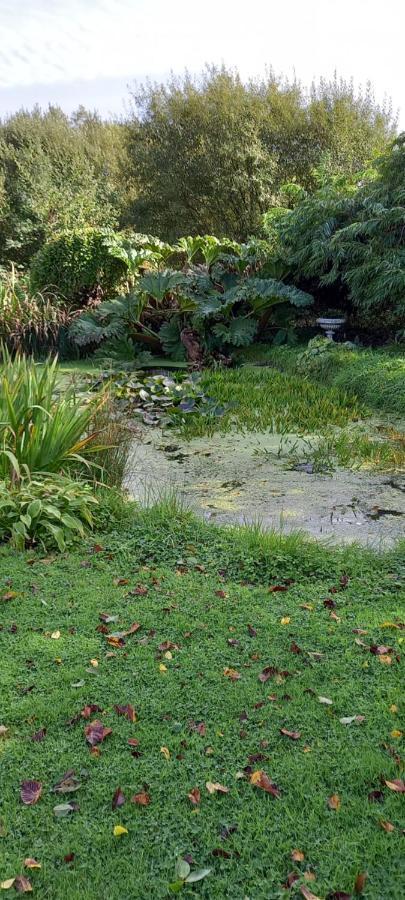 Large Family Home In Wexford Marys B&B Enniscorthy Ngoại thất bức ảnh