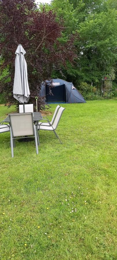 Large Family Home In Wexford Marys B&B Enniscorthy Ngoại thất bức ảnh