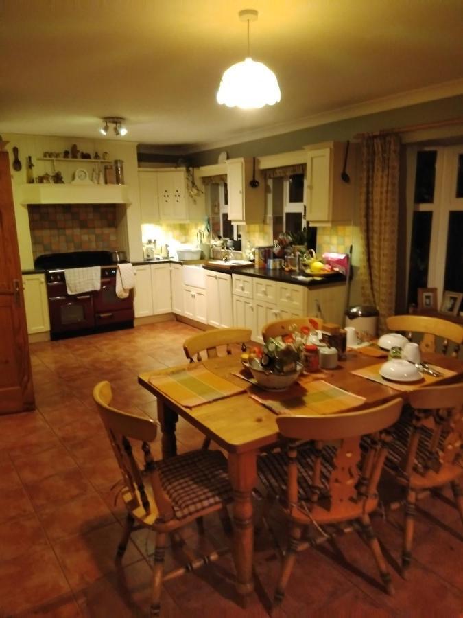 Large Family Home In Wexford Marys B&B Enniscorthy Ngoại thất bức ảnh
